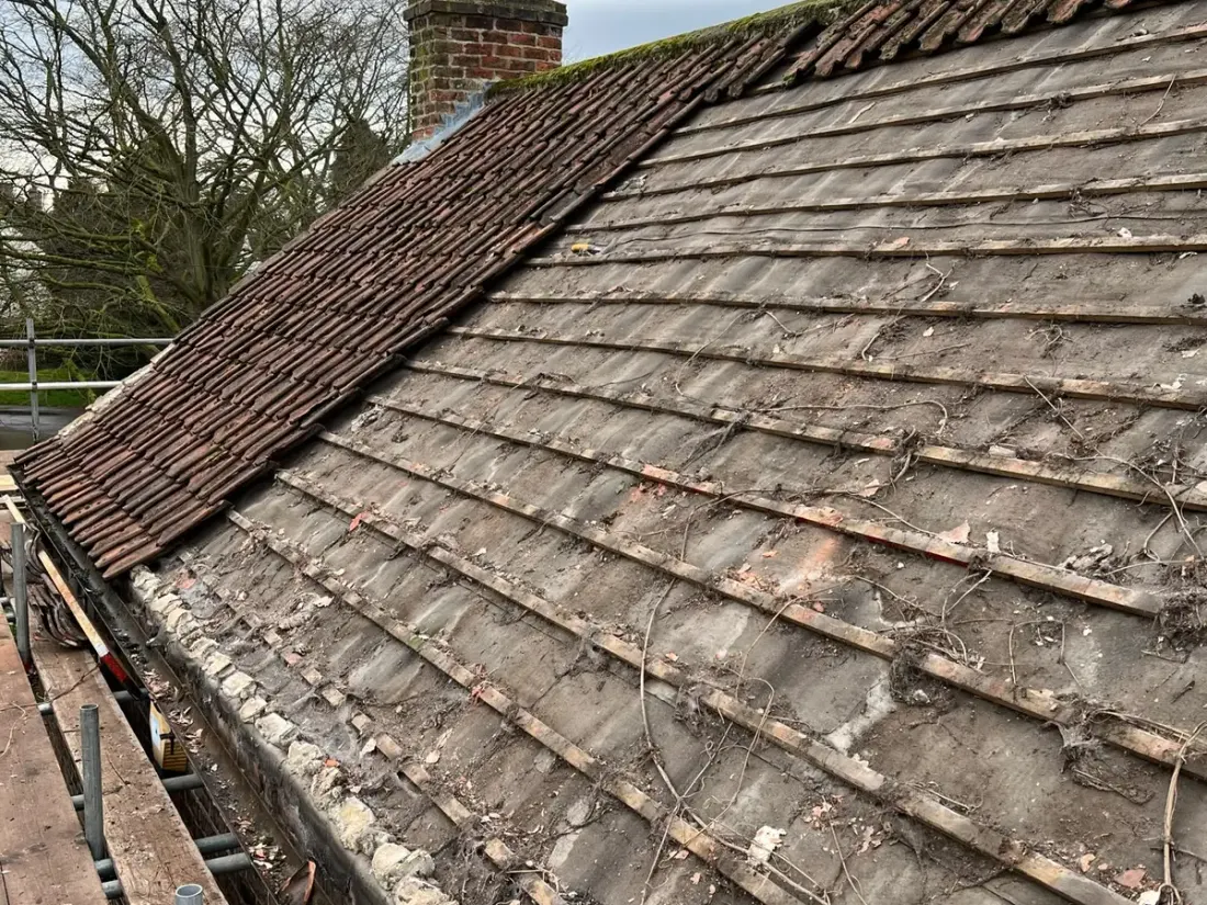 An old roof stripped back, showing perished battens and ivy growth