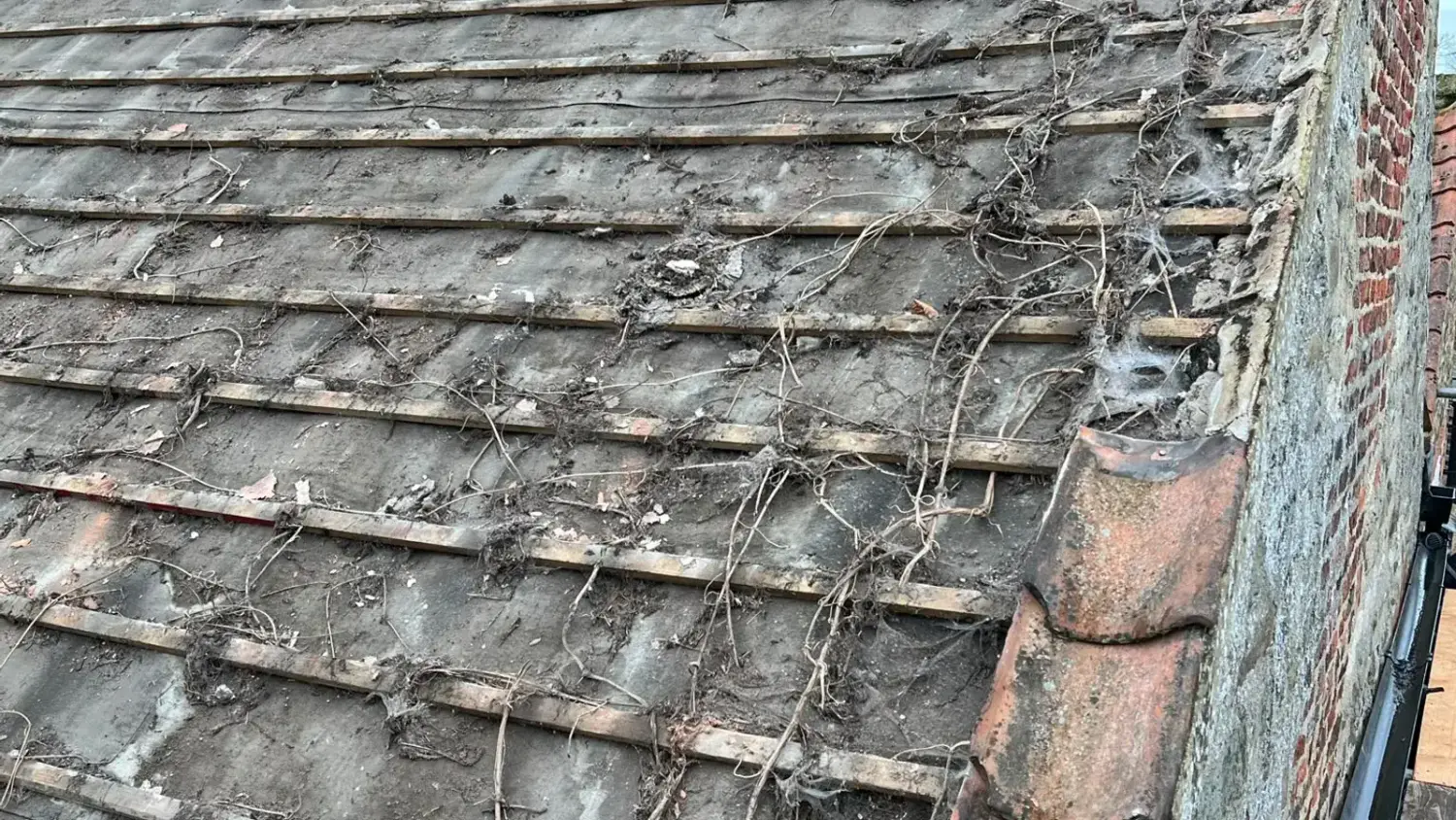 Roof Repairs